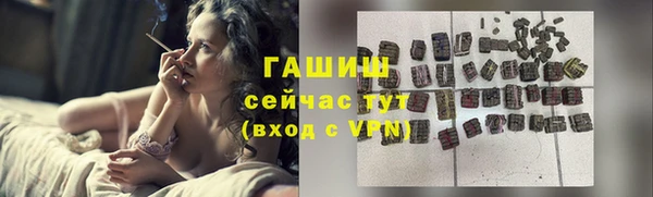 сатива Ельня