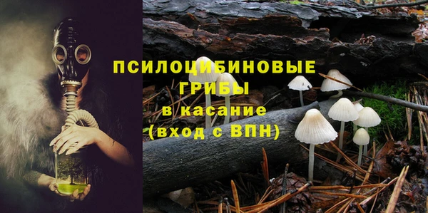 сатива Ельня