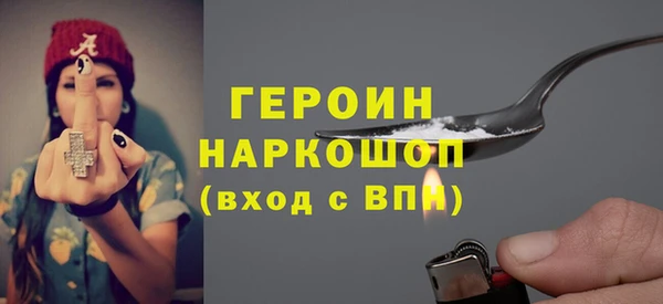 сатива Ельня