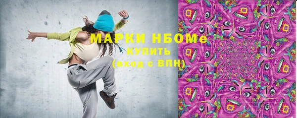 сатива Ельня