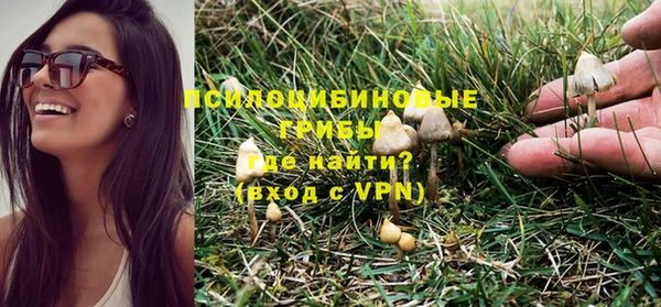 сатива Ельня