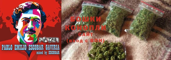 сатива Ельня