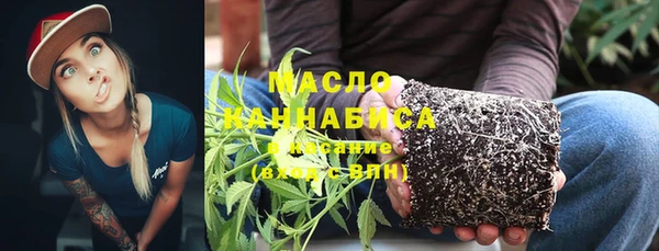 сатива Ельня