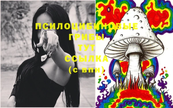 меф Елабуга