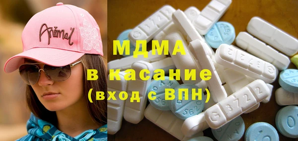 сатива Ельня